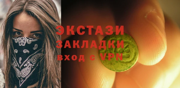 хмурый Аркадак