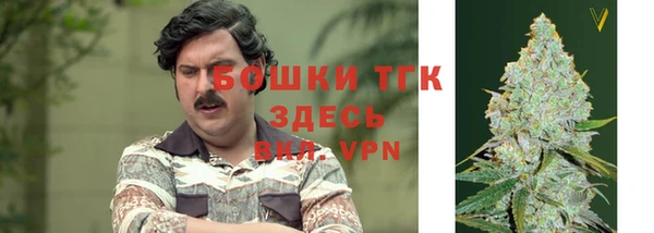 хмурый Аркадак