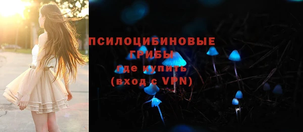 прущий лед Армянск