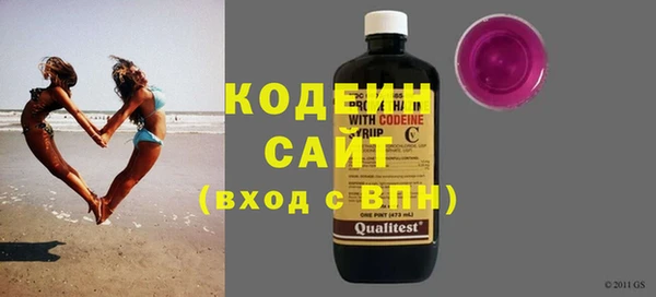 хмурый Аркадак