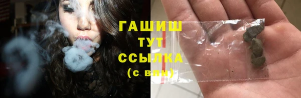 хмурый Аркадак