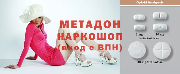 хмурый Аркадак