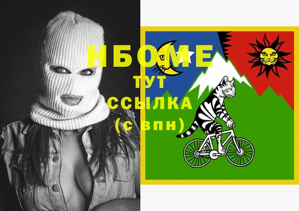 хмурый Аркадак