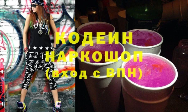 хмурый Аркадак