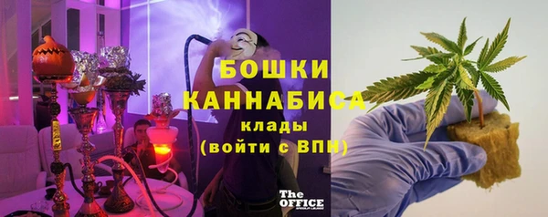 хмурый Аркадак