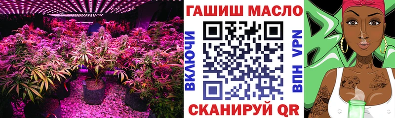ТГК THC oil  Купить закладки  Северо-Курильск 