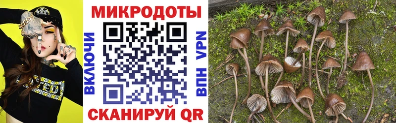 Купить  Северо-Курильск  Галлюциногенные грибы мицелий 